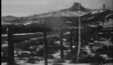 Naokichi Hashizume Collection